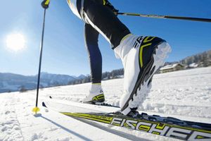 Австрійський виробник лиж Fischer — один із світових лідерів гірськолижного спорту