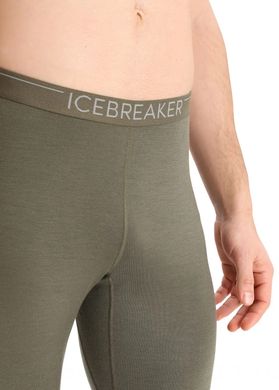 Термоштаны Icebreaker 200 Oasis Leggings MEN LODEN XL