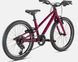 Велосипед Specialized JETT 20 INT RSBRY/UVLLC (92722-6420) 3 из 3
