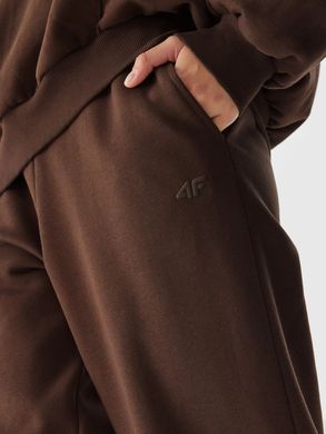 Штани 4F утеплені AW2023 коричневий, жіночі XXL(р)