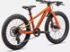 Велосипед Specialized RIPROCK 20 INT AMBRGLW/REDWD 20 (96524-8020) 3 з 3