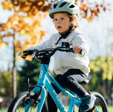 Велосипед Puky LS-PRO 16-1 Fresh Blue LTD 1522, 3 года+