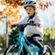 Велосипед Puky LS-PRO 16-1 Fresh Blue LTD 1522, 3 года+ 2 из 5