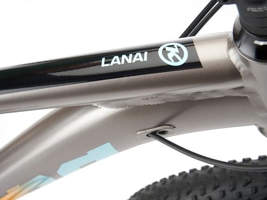Велосипед гірський Kona Lana'I 29" 2023 Grey, XL
