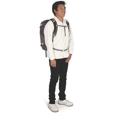 Рюкзак Osprey Nebula 32 graphite/purple heather - O/S - сіро-фіолетовий