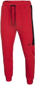 Штаны 4F цвет: красный черная боковая полоса