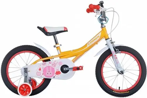 Дитячі велосипеди Trinx