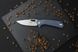 Нож складной Firebird by Ganzo FH921 серый 8 из 9