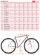 Велосипед Kona Rove 2024 (Bloodstone, 58 см) 11 з 12