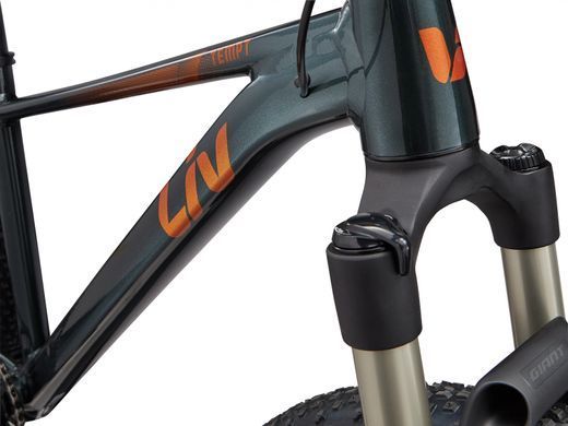 Велосипед Liv Tempt 0 asphalt green S