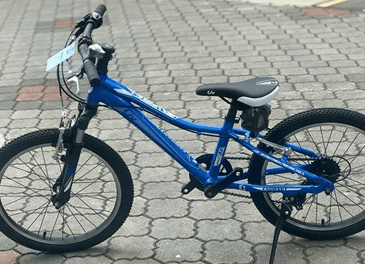Велосипед Liv Enchant 20 синий