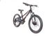 Велосипед Trinx SEALS 3.0 2022 20" Black-Red-Blue 3 из 12