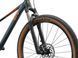 Велосипед Liv Tempt 0 asphalt green S 6 з 13