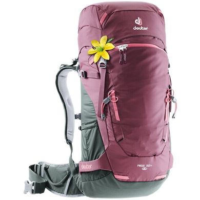 Рюкзак Deuter Rise Lite 26 SL колір 5207 maron-ivy