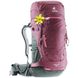 Рюкзак Deuter Rise Lite 26 SL колір 5207 maron-ivy 1 з 2