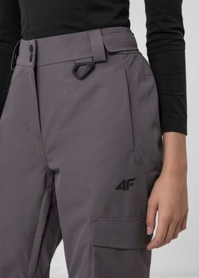 Штаны 4F FOB горнолыжные цвет: серый