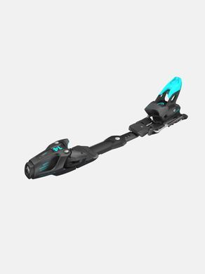 Лижі Head 313245/100905 WC Rebels e-Speed RP EVO 14 wh/bl + FREEFLEX ST 14 BR.85 [A]180