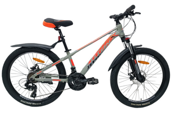 Велосипед Titan 24" Arena 2024 Рама-12" grey-orange