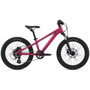 Велосипед Liv STP 20 FS розовый Virtual