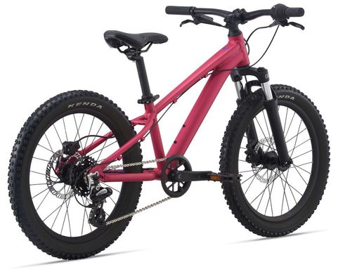 Велосипед Liv STP 20 FS рожевий Virtual
