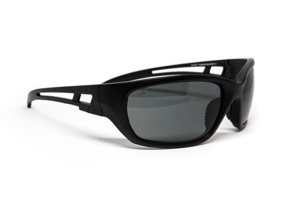 Захисні окуляри з поляризацією BluWater Seaside Polarized (gray)