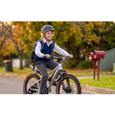 Велосипед RoyalBaby 26" KING-PLUS 21 SPEED, OFFICIAL UA, Silver