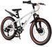 Велосипед RoyalBaby 26" KING-PLUS 21 SPEED, OFFICIAL UA, Silver 1 из 4