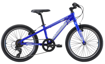 Велосипед Reid ' 20" Viper Blue 20" (1200254020)