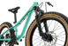 Велосипед Kona Honzo 20 2022 (Light Green, One Size) 2 з 11