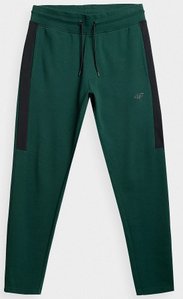 Штаны 4F цвет: зеленый черная боковая полоса