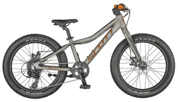 Велосипед Scott Roxter 20 raw alloy (CN)