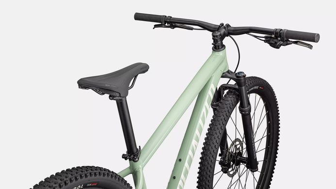 Велосипед Specialized ROCKHOPPER COMP VN PST/WHTMTN XXL - 29 (91826-9006)