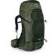 Рюкзак Osprey Aether AG 85 LG зеленый 1 из 4