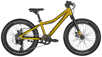 Велосипед Bergamont 2022' 20" Bergamonster 20 Plus Boy (286849-180) 26см