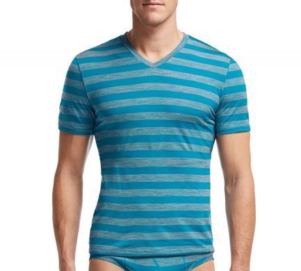 Термофутболка Icebreaker BF 150 Anatomica SS V MEN stripe alpine/metro L