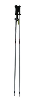 Палки лыжные Fischer XTR Aluminium 130 см серо-красный