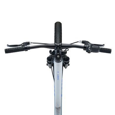 Велосипед Liv Tempt Jr 24 silver