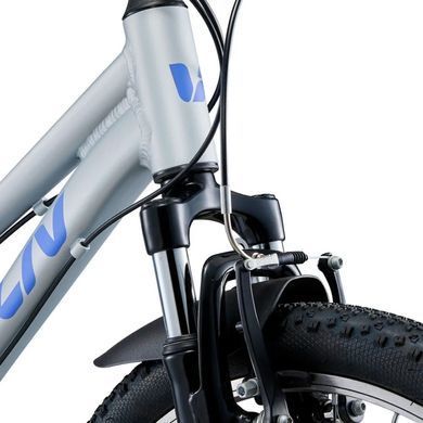 Велосипед Liv Tempt Jr 24 silver