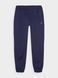 Штани 4F CLASSIC BOSTON фіолет, XL(р) 5 з 5