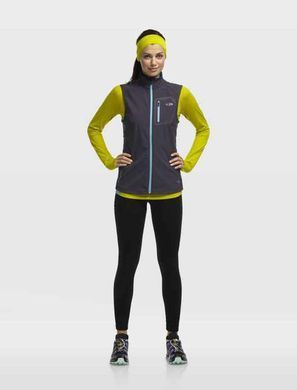 Термофутболка с длинным рукавом Icebreaker Pace LS Half Zip WMN chartreuse/glacier XS
