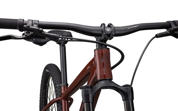 Велосипед Specialized ROCKHOPPER EXPERT 29 RSTDRED/RSTDRED M (91523-3103)