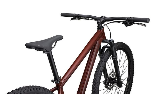 Велосипед Specialized ROCKHOPPER EXPERT 29 RSTDRED/RSTDRED M (91523-3103)