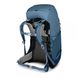 Рюкзак Osprey Ace 38 (S20) Blue Hills O/S синий 5 из 5