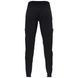 Штаны FOX RAWTEC Pant [Black], 36 2 из 9