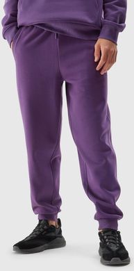 Штаны 4F MANHATTAN утепленные фиолет, мужские XL(р)
