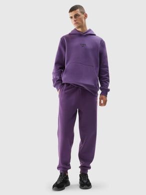 Штаны 4F MANHATTAN утепленные фиолет, мужские XL(р)