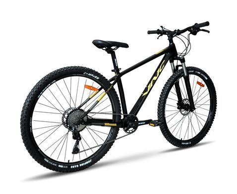 Велосипед VNC 2023' 29" FastRider Sport Air, V1C9A-2948-BG, 48см (4491)