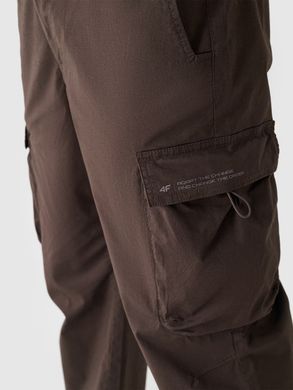 Штани 4F FULL TOP коричневий XXL(р)
