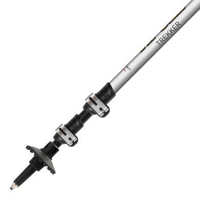 Палиці трекінгові Vipole Trekker Green (S25 10)