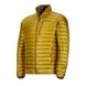 Quasar Nova Jacket куртка чоловіча (Golden Palm, XL) 3 з 4